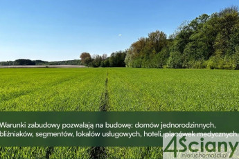 Działka Sprzedaż Młochów