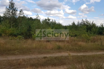 Działka Sprzedaż Michałów