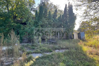 Działka Sprzedaż Domaniewek Pierwszy