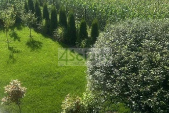 Dom Sprzedaż Kaski