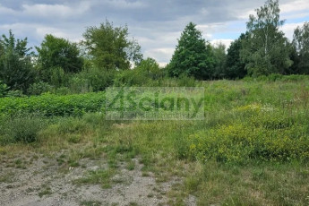 Działka Sprzedaż Gołków