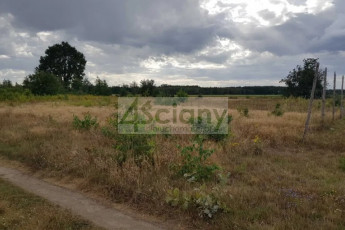 Działka Sprzedaż Michałów