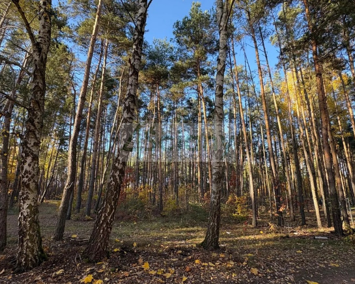 Działka Sprzedaż Marynin