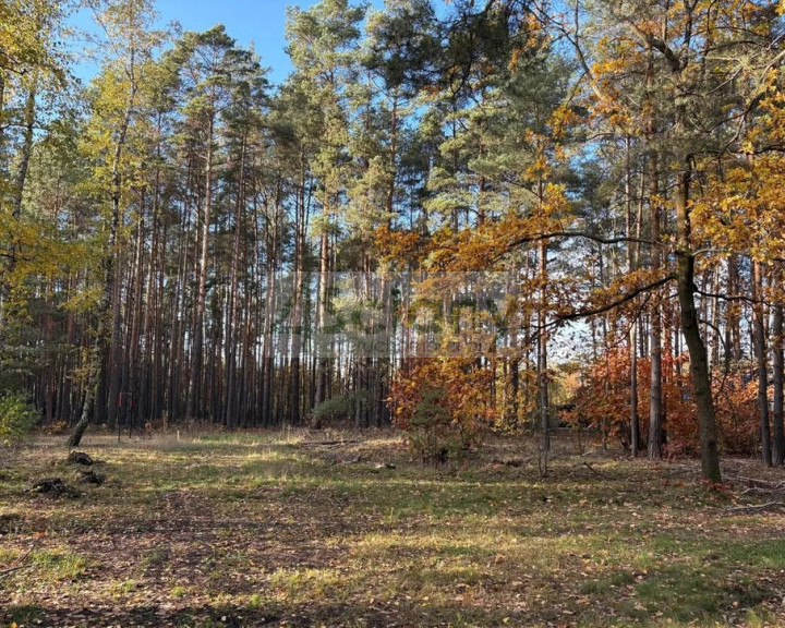 Działka Sprzedaż Marynin
