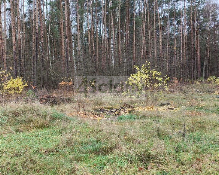 Działka Sprzedaż Wycześniak