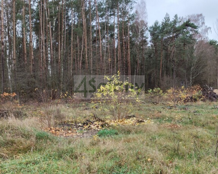 Działka Sprzedaż Wycześniak
