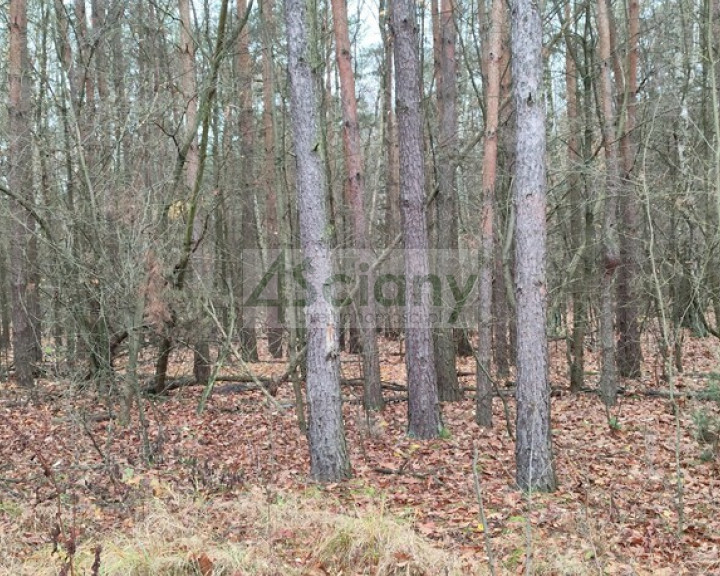 Działka Sprzedaż Wycześniak