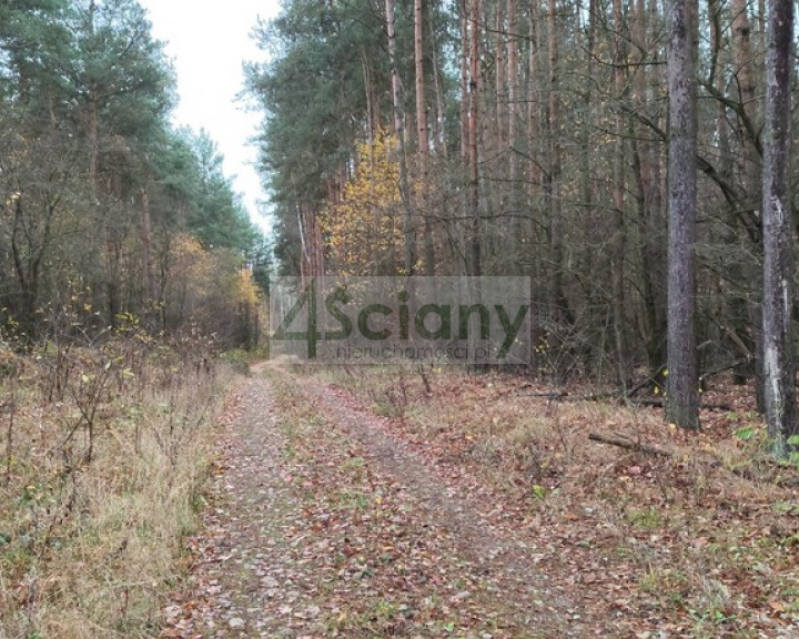 Działka Sprzedaż Wycześniak