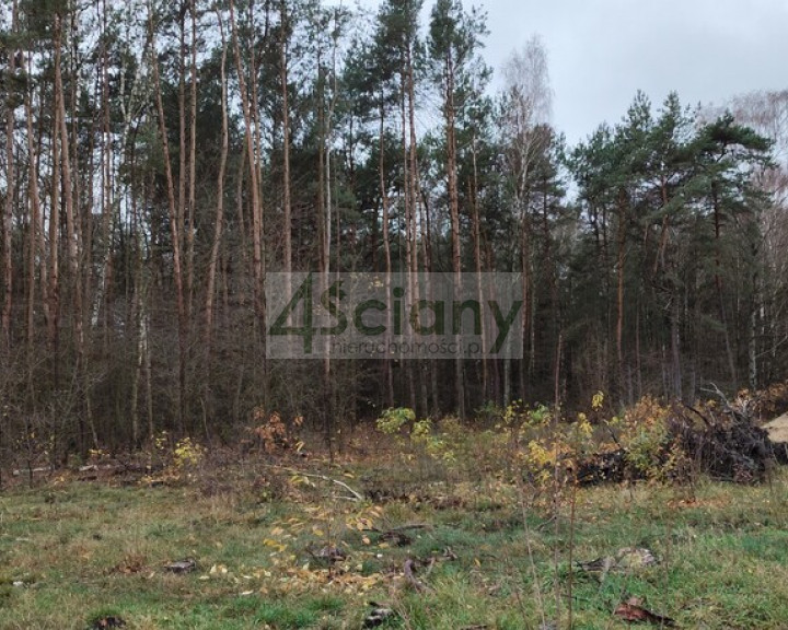 Działka Sprzedaż Wycześniak