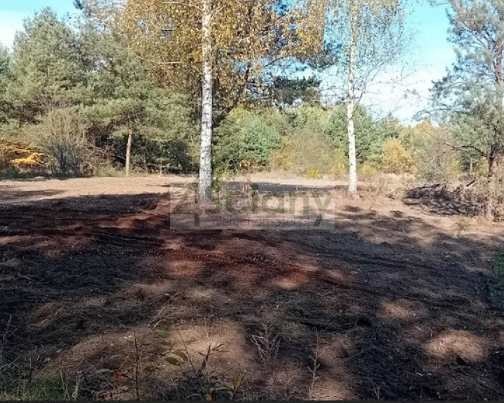 Działka Sprzedaż Słubica Dobra