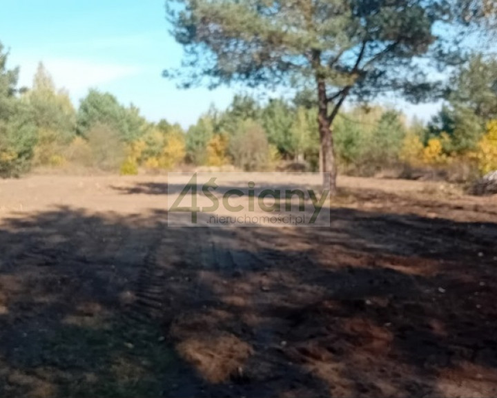 Działka Sprzedaż Słubica Dobra
