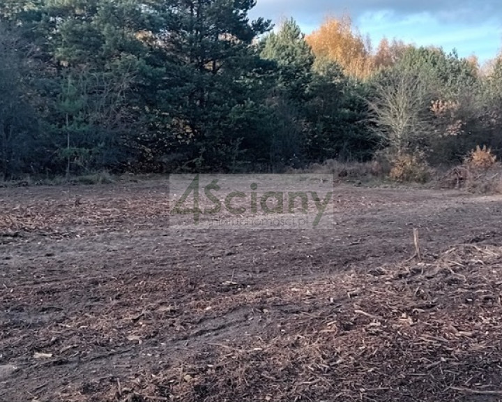 Działka Sprzedaż Słubica Dobra
