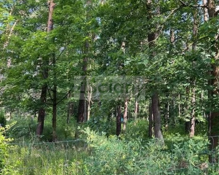 Działka Sprzedaż Magdalenka