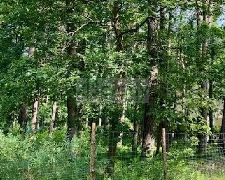 Działka Sprzedaż Magdalenka