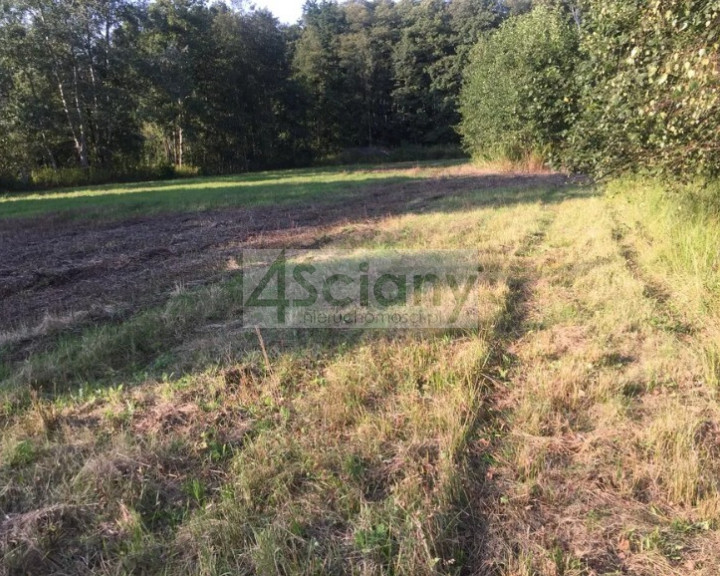 Działka Sprzedaż Sierzchów