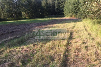 Działka Sprzedaż Sierzchów