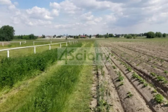 Działka Sprzedaż Falenty Nowe