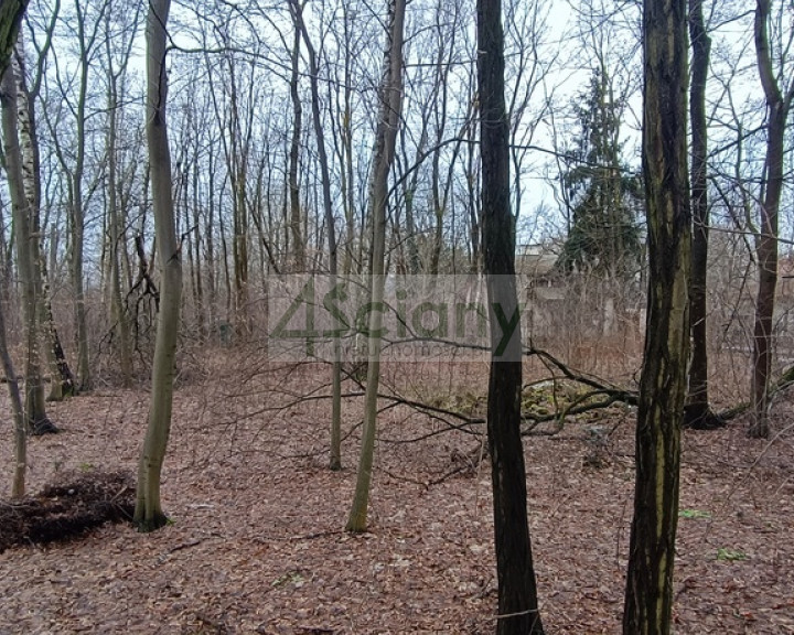 Działka Sprzedaż Milanówek