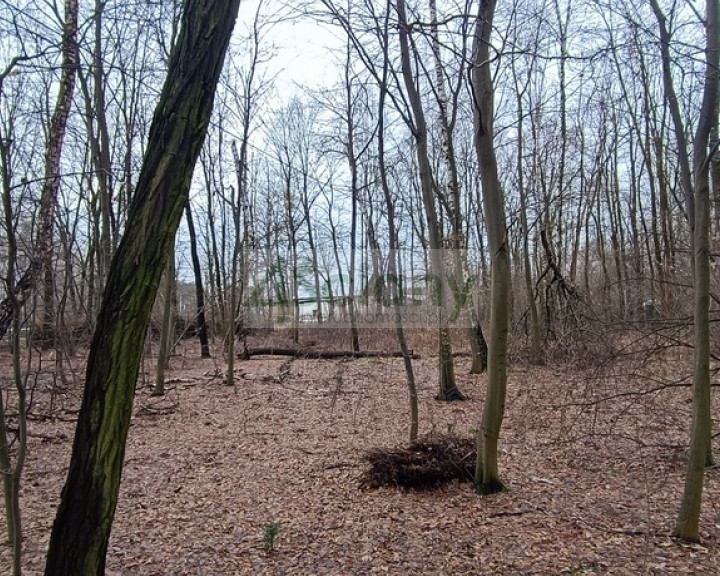 Działka Sprzedaż Milanówek