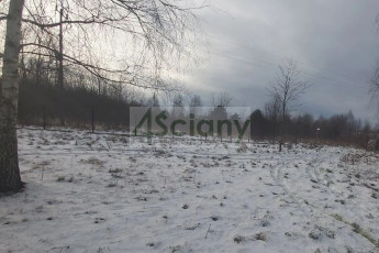 Działka Sprzedaż Rusiec