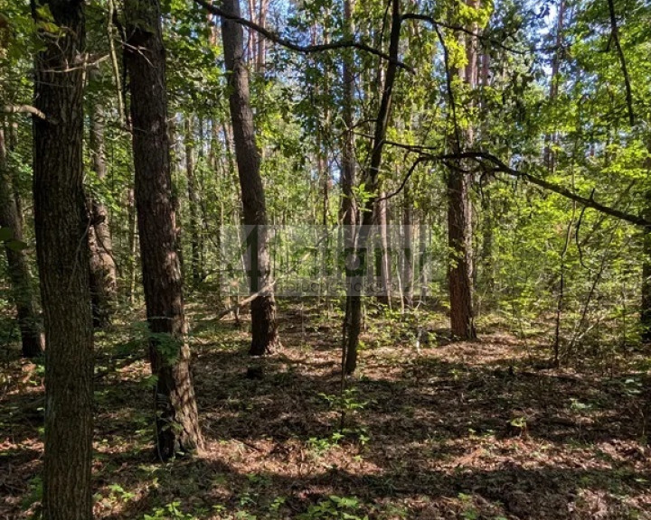 Działka Sprzedaż Władysławów