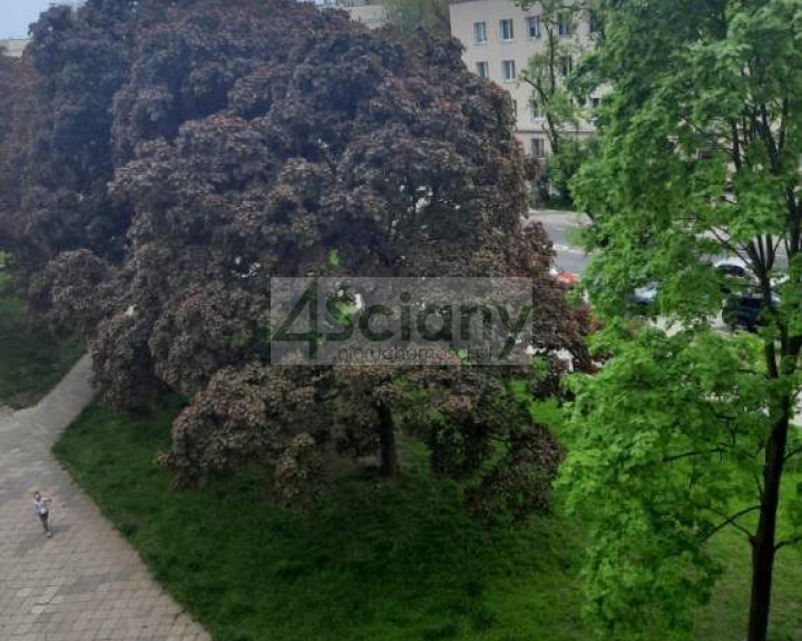 Mieszkanie Sprzedaż Warszawa Praga-Południe Józefa Dwernickiego