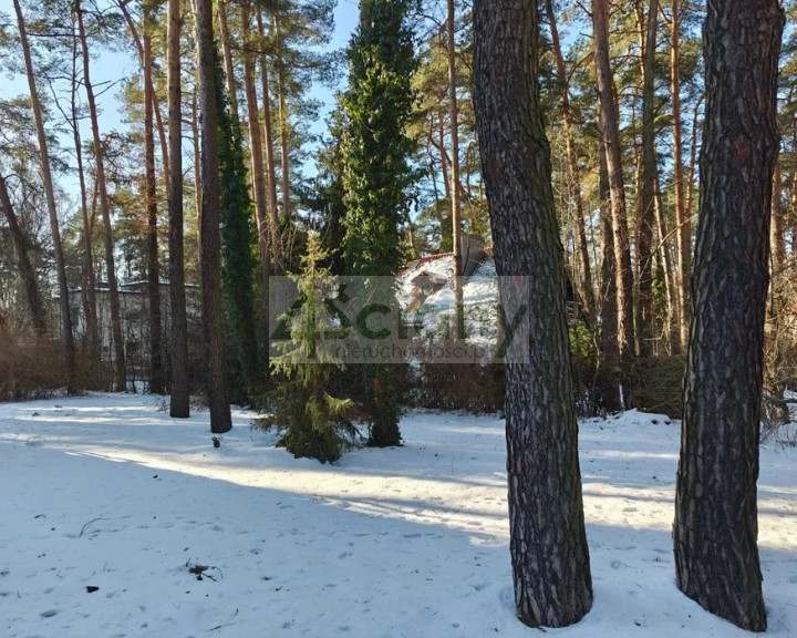 Dom Sprzedaż Podkowa Leśna