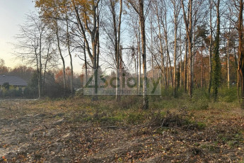 Działka Sprzedaż Podkowa Leśna