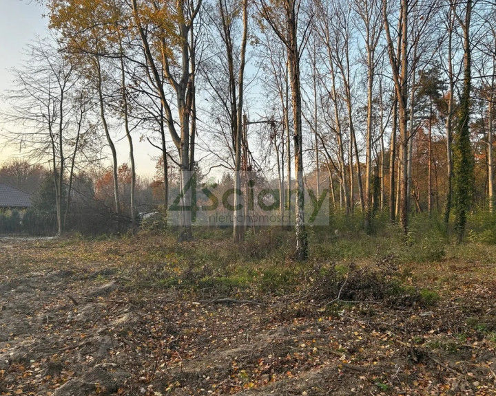 Działka Sprzedaż Podkowa Leśna