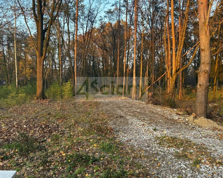 Działka Sprzedaż Podkowa Leśna