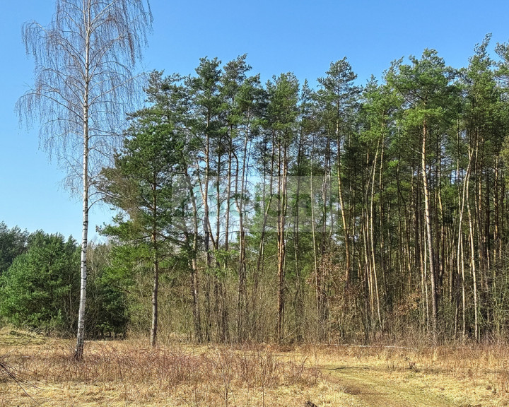 Działka Sprzedaż Ojrzanów