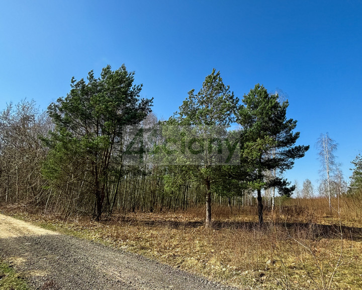 Działka Sprzedaż Ojrzanów
