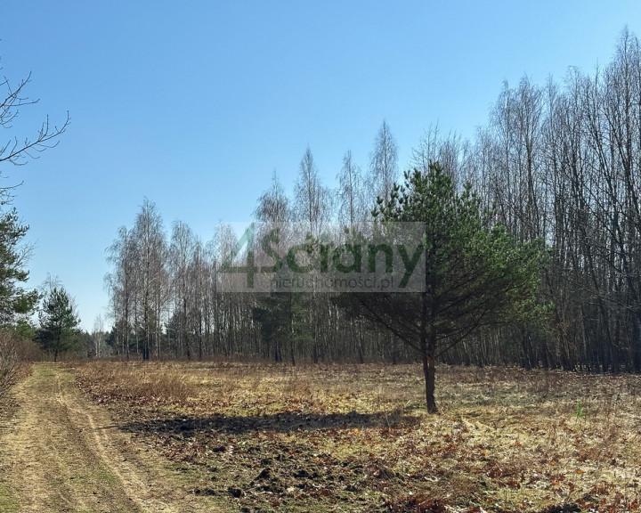 Działka Sprzedaż Ojrzanów