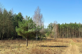 Działka Sprzedaż Ojrzanów
