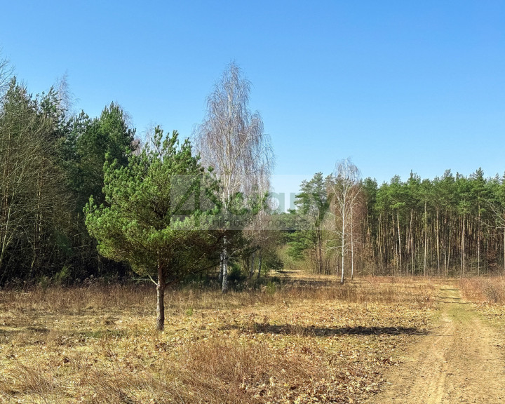 Działka Sprzedaż Ojrzanów