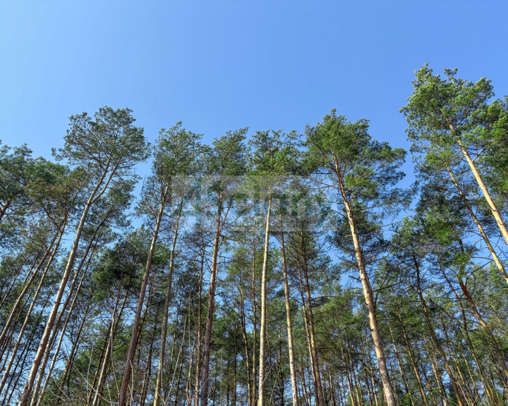 Działka Sprzedaż Ojrzanów