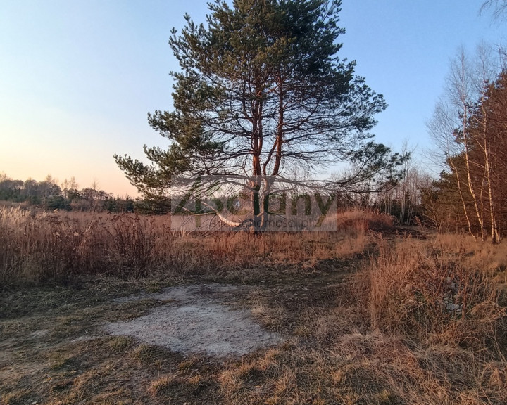 Działka Sprzedaż Żelechów