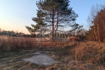 Działka Sprzedaż Żelechów