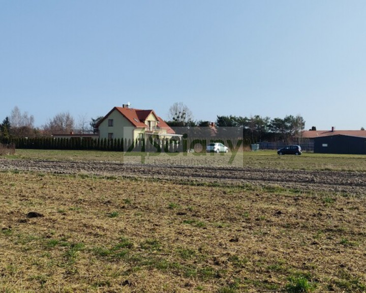 Działka Sprzedaż Zaborówek