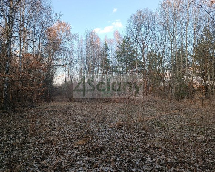 Działka Sprzedaż Ojrzanów