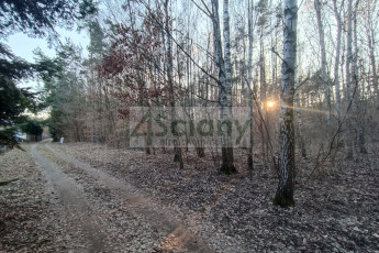 Działka Sprzedaż Ojrzanów