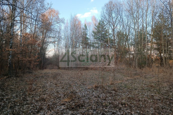 Działka Sprzedaż Ojrzanów
