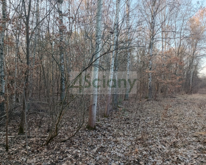 Działka Sprzedaż Ojrzanów