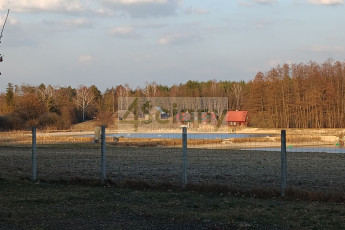 Działka Sprzedaż Ojrzanów
