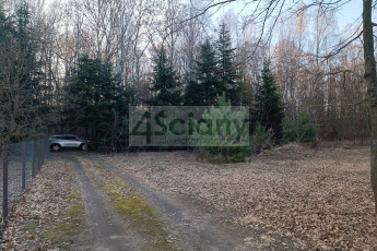 Działka Sprzedaż Ojrzanów