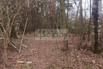 Działka Sprzedaż Stara Wieś