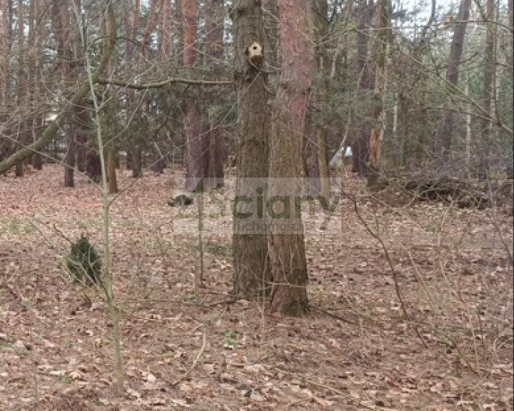 Działka Sprzedaż Stara Wieś