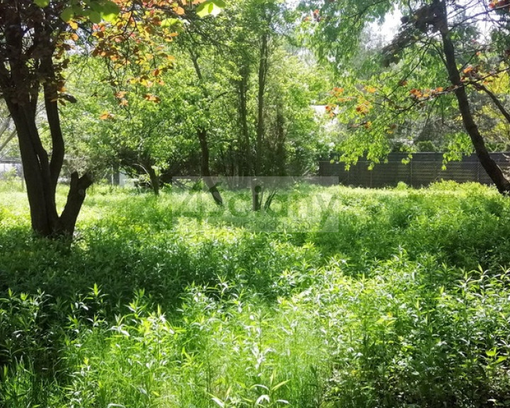 Działka Sprzedaż Warszawa Wawer