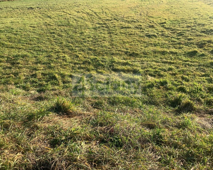 Działka Sprzedaż Duchnów