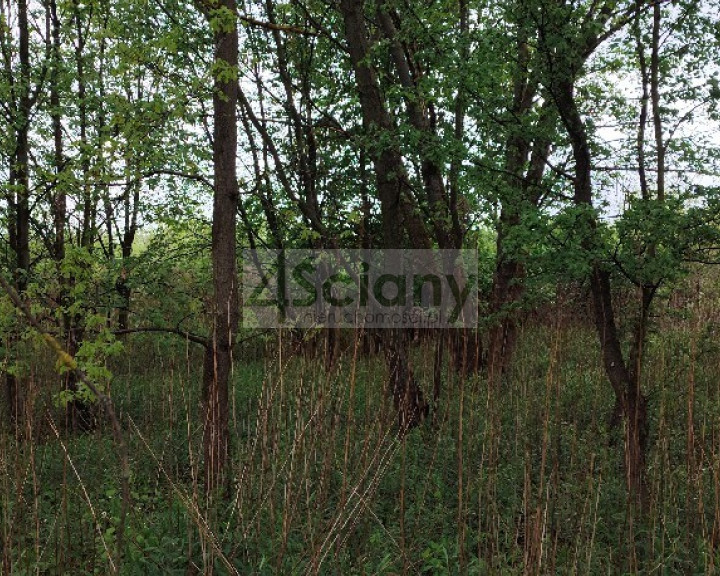Działka Sprzedaż Stanisławów Drugi